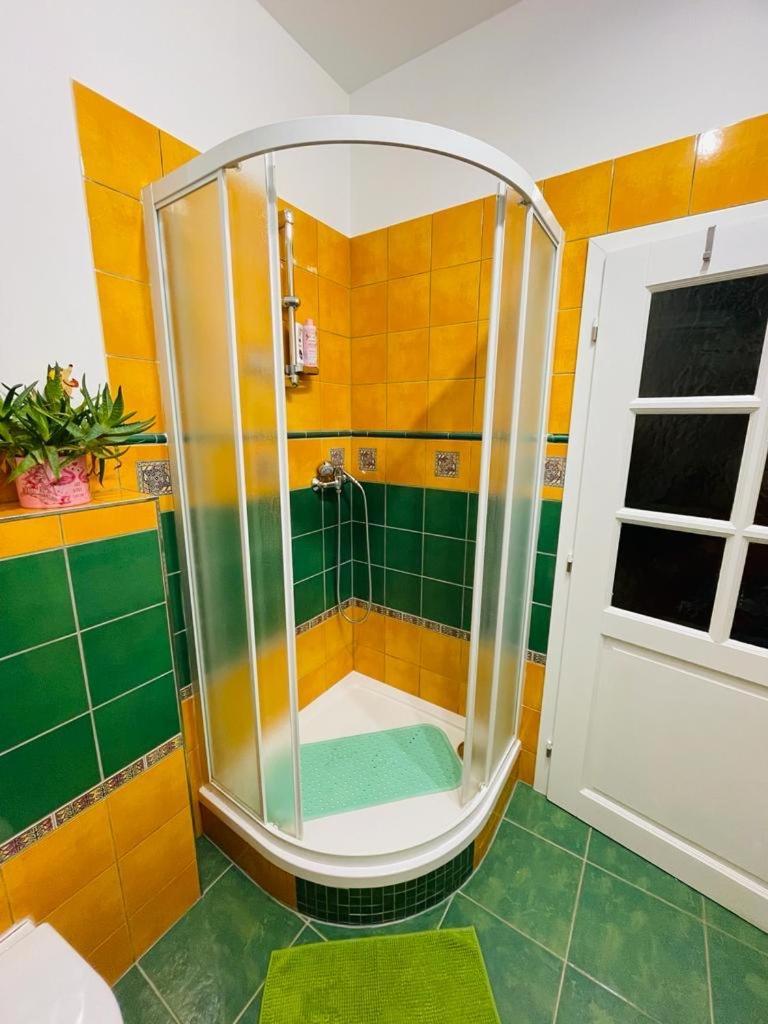 Apartman U Splavu Teplice nad Metují Zewnętrze zdjęcie