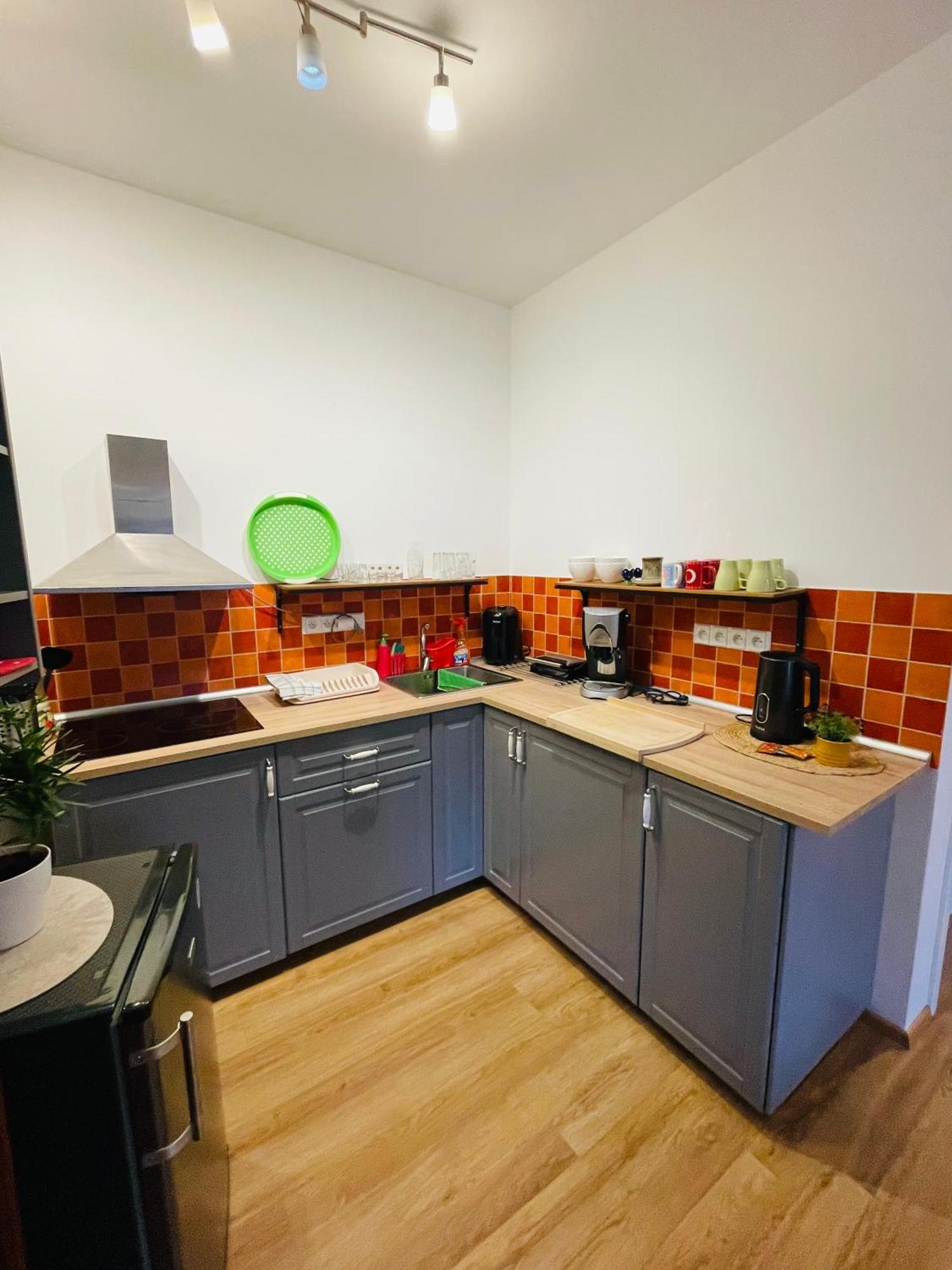 Apartman U Splavu Teplice nad Metují Zewnętrze zdjęcie